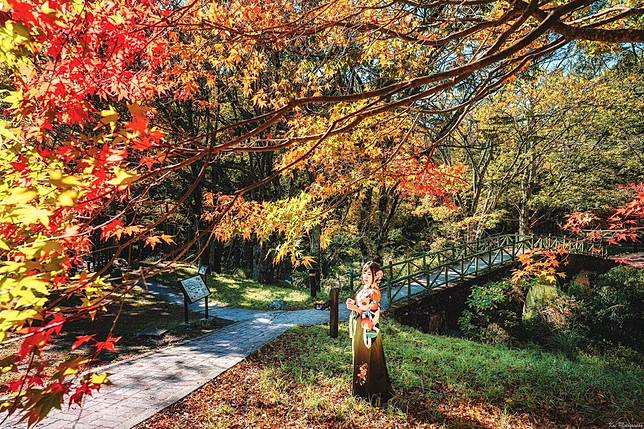 圖片來源：IG @shengkai_travel