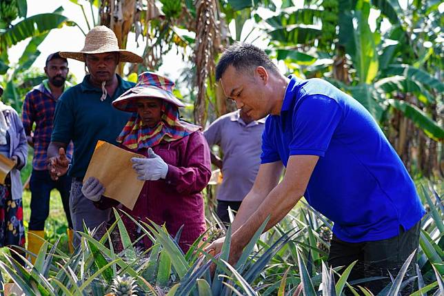 Zhao Zengxian from the Chinese Academy of Tropical Agricultural Sciences demonstrates fruit bagging technology in Makandura, Sri Lanka, on Dec. 23, 2024. (Xinhua/Chen Dongshu)