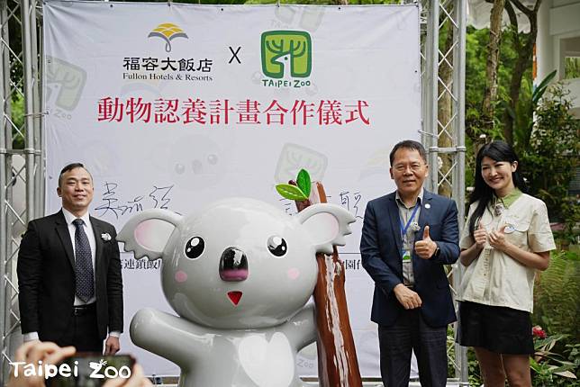 福容大飯店認養無尾熊「芙蓉」，台北市立動物園二十二日與福容飯店簽署簽署「無尾熊動物認養計畫」。（台北市立動物園提供）