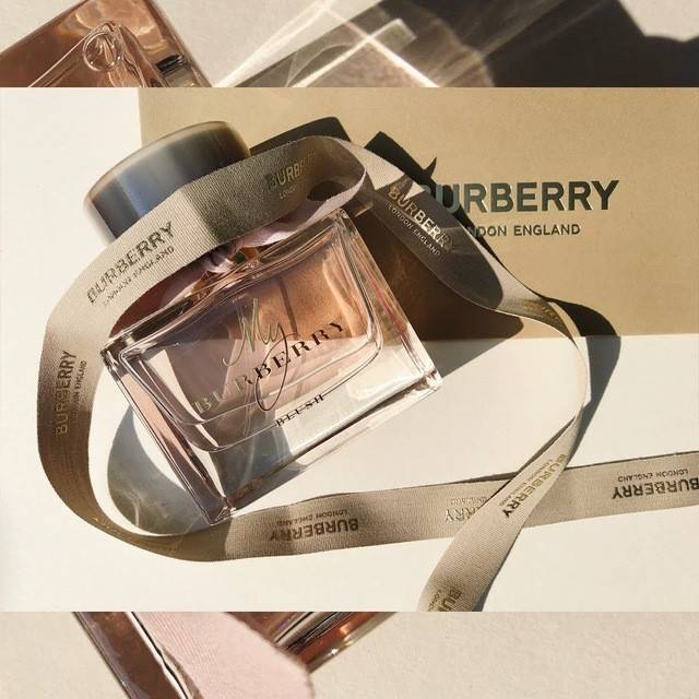 My burberry blush pantip online