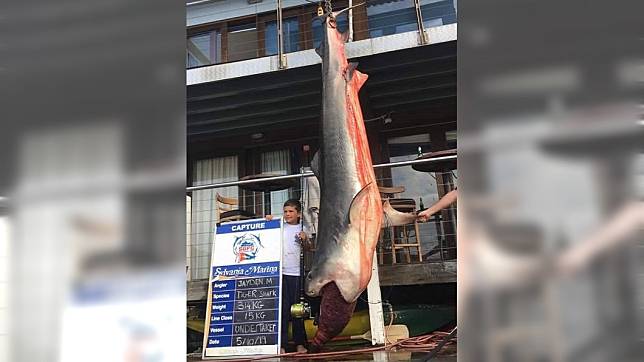 傑登僅用15公斤的釣魚線就釣起314公斤重(692磅)的虎鯊。圖／CoastfishTV
