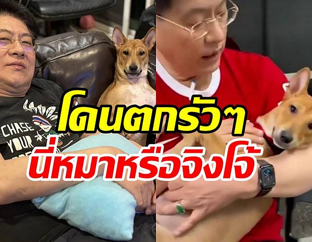 เปิดตัวชบาลูกรักตัวใหม่ของสรยุทธ โซเชียลงงตาแตกนี่หมาหรือจิงโจ้