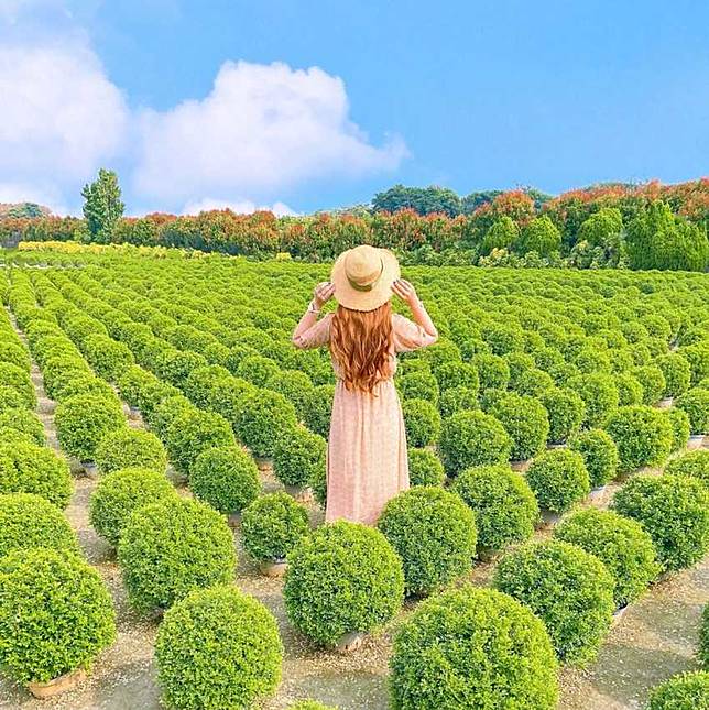 照片來源：IG @emilycute7bear