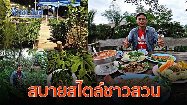 อร่อยไร้สารพิษ ปลูกพืชผักสวนครัวนำมาปรุงอาหารไทยอีสาน ที่ครัวในสวนสัตหีบ