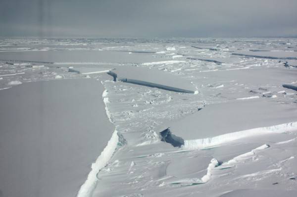 根據一份最新研究指出，自1992年來，南極洲已有近3兆公噸的冰消融，而且冰層消融速度越來越快，有40%的冰是在過去5年消融。(路透)