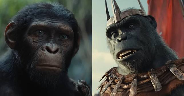 《猩球崛起：王國誕生》睽違7年回歸！預告公開揭「新世代猩猩」開啟全新局面，導演、演員大換血