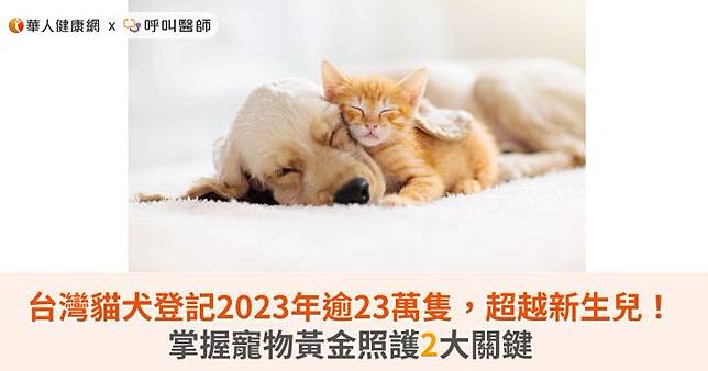 台灣貓犬登記2023年逾23萬隻，超越新生兒！掌握寵物黃金照護2大關鍵