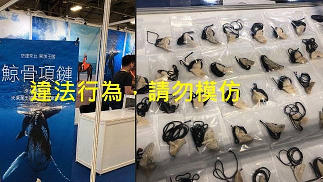 潛水展廠商疑似販售「鯨骨項鍊」遭民眾檢舉。取自中華鯨豚協會 Taiwan Cetacean Society臉書