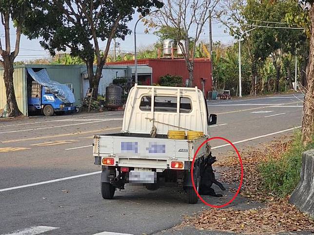 有網友目擊狗兒被勒脖掛車外，神情痛苦，他PO網希望有熱心民眾幫忙。取自臉書