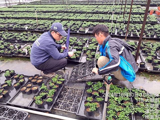 強烈颱風康芮逼近，桃園市農業局啟動防颱整備計畫。（農業局提供）