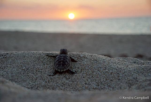 One in 1,000 by Kendra Campbell ／ AGNPOTY