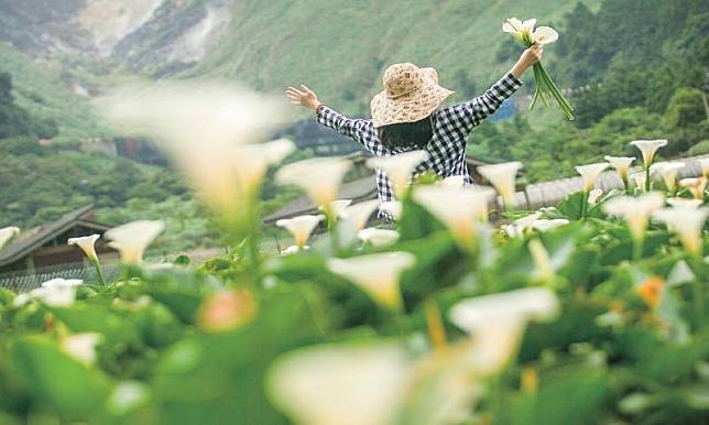 竹子湖座落陽明山國家公園裡，海拔高約600公尺，涼爽的氣候環境孕育豐富高冷蔬菜與景觀花卉。（翻攝自北市產業局網站）