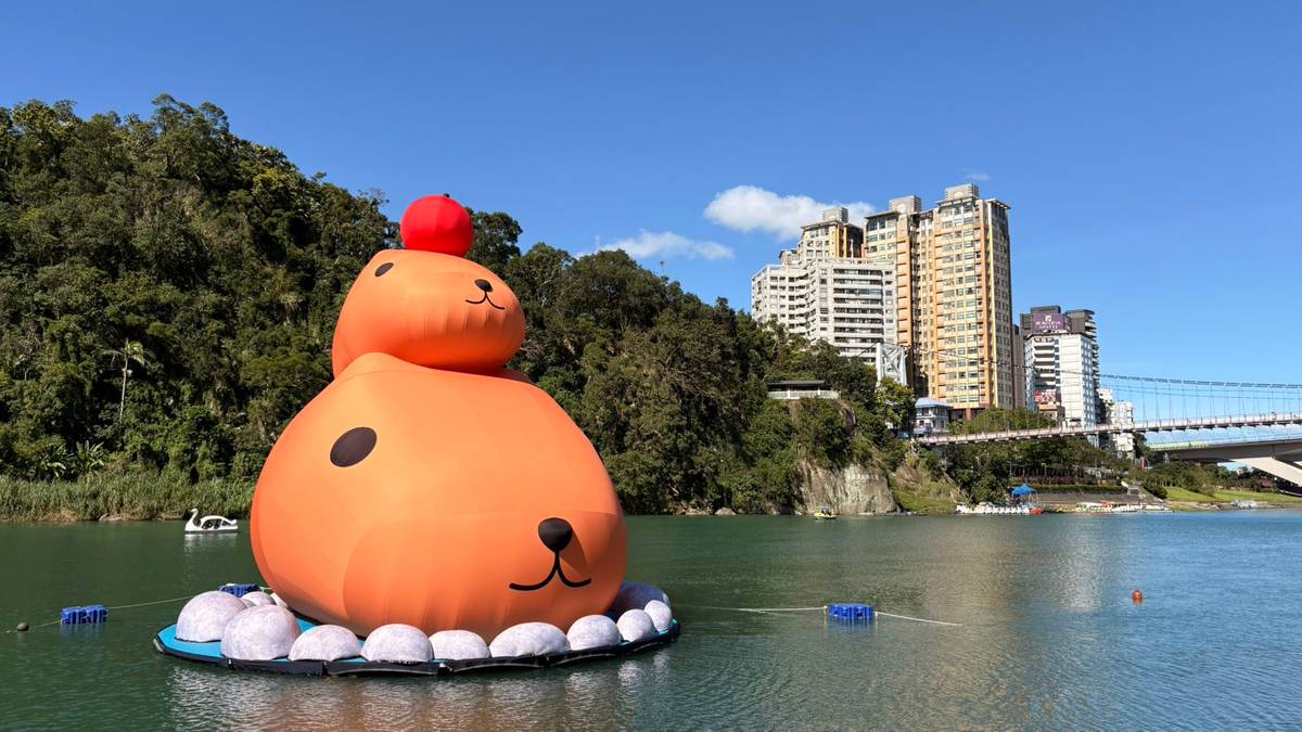 生活特輯】萌度爆表「呆在碧潭の水豚君」限定造型雞蛋糕、 偶裝見面會時間公開！ | 鏡新聞| LINE TODAY