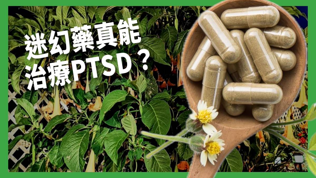 迷幻藥治療PTSD真的有效？「伊玻蓋因」讓人重新檢視人生，卻可能引發心臟驟停！這是精神醫療革命還是商業炒作？ 【TODAY 看世界｜小發明大革命】 | TODAY 看世界 | LINE TODAY