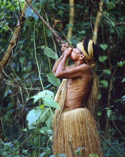 武漢肺炎疫情禍害全球，就連巴西亞馬遜雨林區與世隔絕的部落也傳出確診病例   圖：翻攝Amazonia臉書
