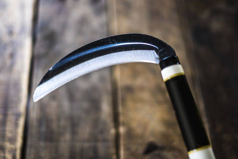 只是「懷疑」外遇　狠夫砍死妻後「與屍體自拍」還囂張PO網 | 鏡週刊 | LINE TODAY