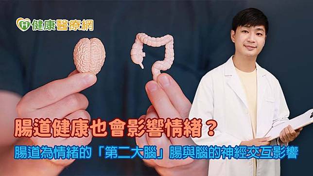 醫師葉宗儒透過「腸-腦軸」的理論解釋，腸道內的微生物菌群與大腦內的神經遞質，會相互影響身體的身心狀態，形成複雜的作用網絡。