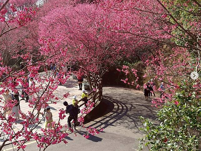 座落在公館鄉和獅潭鄉交界處的協雲宮（圖片來源/<a href=