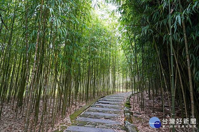 頂湖步道／嘉義縣府提供