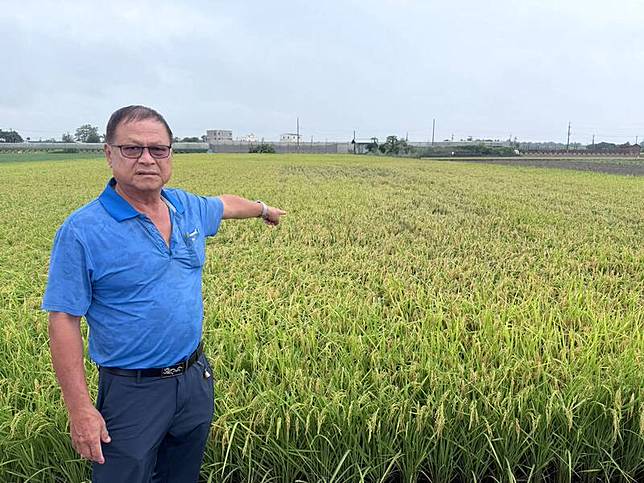 縣議員李俊諭表示，近期極端天氣頻繁，農民面對突如其來的豪雨往往措手不及。(李俊諭提供)