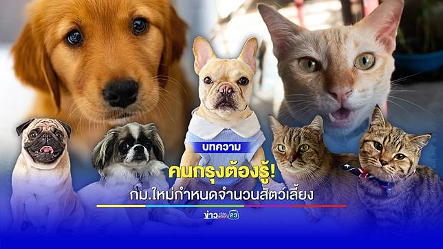คนกรุงต้องรู้! กฎใหม่จำกัดจำนวนสัตว์เลี้ยง