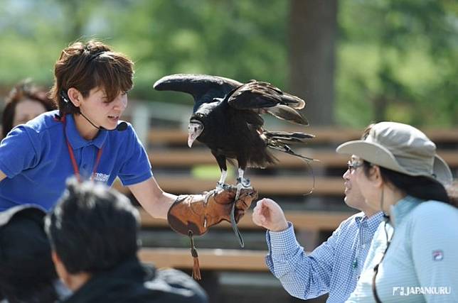 
<p>不只是老鷹們，其他動物們每天也會帶來各種精彩表演，詳細動物表演秀時間表可以先去官網查詢，再來安排你的行程喔！</p><p>
</p><p>
</p><p>
<b>鳥禽類表演秀舉辦時間</b></p><p>
平　　　日　11:30〜,14:30〜</p><p>
週末例假日　12:30〜,14:30〜</p><p>
<a href=