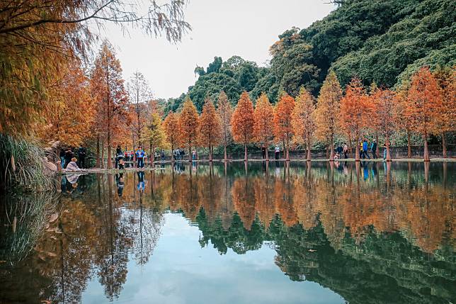 月眉人工濕地生態公園，連日來都吸引許多遊客。