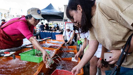 圖/新北市農業局