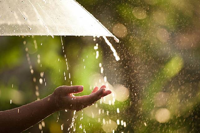 ไขข้อสงสัย ฤดูฝนประเทศไทย พร้อมสาเหตุที่ฝนชอบตกในป่า (บนภูเขาสูง)