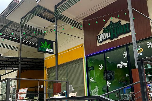 cannabis