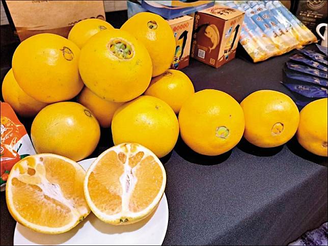 台東臍橙果肉細緻多汁，酸中帶甜，號稱柑橘界的勞斯萊斯。(農糧署東區分署提供)