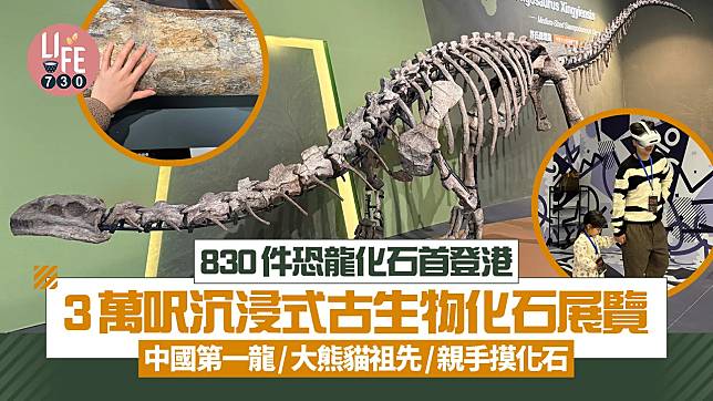 830件恐龍化石首登港 3萬呎沉浸式古生物化石展覽 中國第一龍/大熊貓祖先/親手摸化石