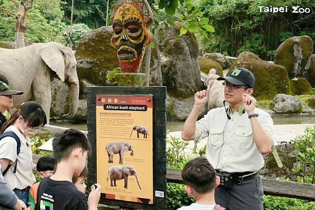 台北市立動物園一年一度的夜訪活動即將登場！北市動物園宣布，自7月6日起連續9個週六夜間延長開放至晚上9點 圖：翻攝自台北市立動物園官網