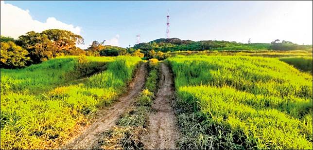 墾丁違法沙灘車、吉普車破壞地貌，墾管處抓不勝抓。(民眾提供)