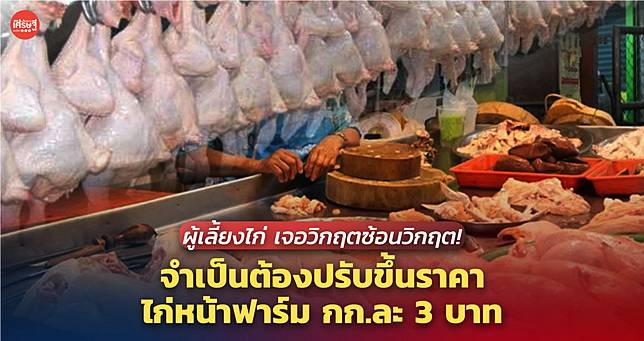 ผู้เลี้ยงไก่ เจอวิกฤตซ้อนวิกฤต! จำเป็นต้องปรับขึ้นราคา ไก่หน้าฟาร์ม กก.ละ 3 บาท 