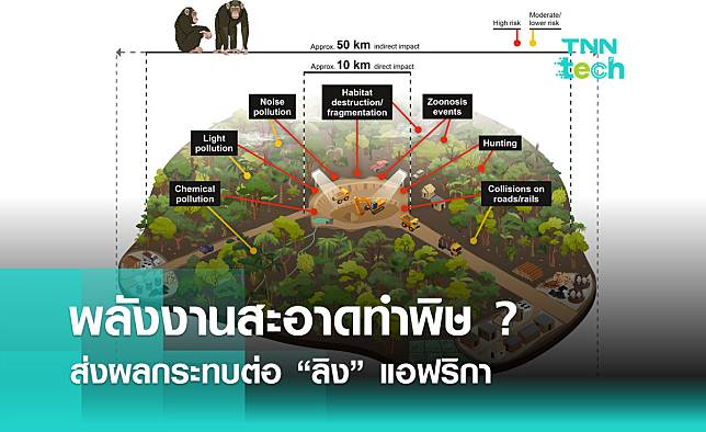 เทรนด์พลังงานสะอาดทำพิษ ? ส่งผลกระทบต่อ “ลิง” แอฟริกา