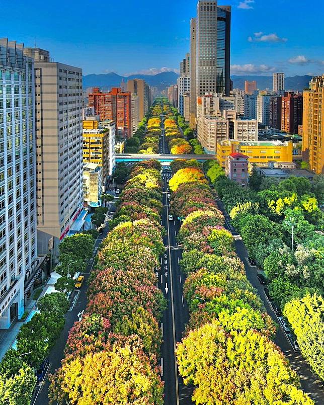 ▲圖片來源：IG@force0802