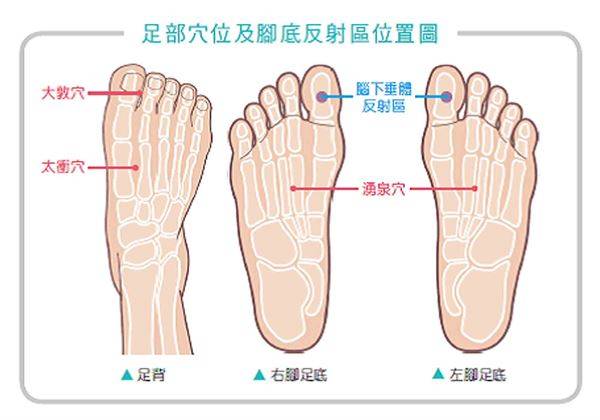 壓力大新陳代謝紊亂害「鬼剃頭」？這樣做減壓、減少掉髮