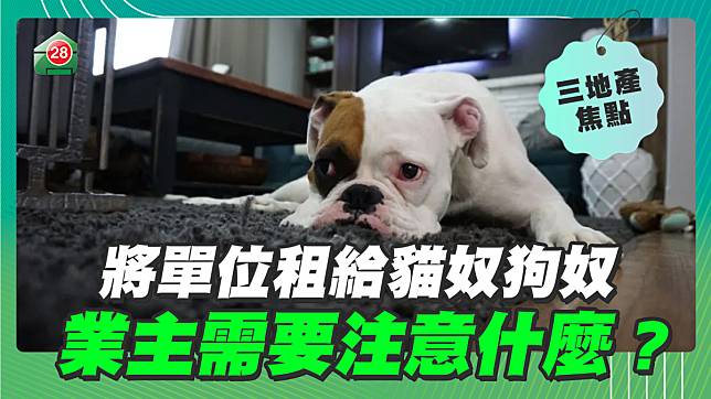 將單位租給貓奴狗奴，業主需要注意什麼？