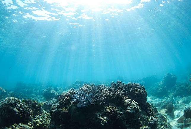 วิจัยคาด ‘โลกร้อน’ พ่นพิษสายพันธุ์ปลา 60% อยู่ไม่รอด