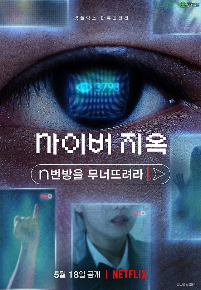 Netflix《網路煉獄：揭發N號房》紀錄片