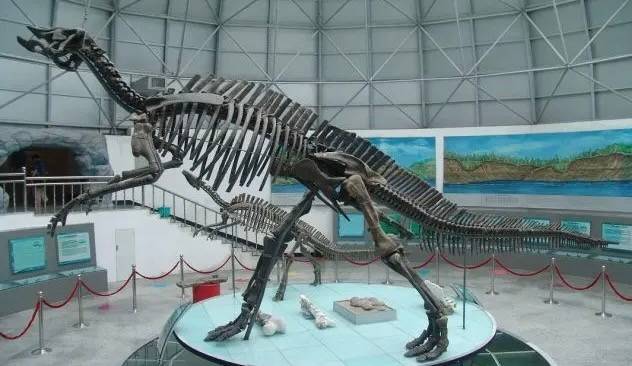 俄外交官在訪問中國黑龍江省嘉陰縣時，向嘉蔭恐龍國家地質公園移交了關於滿洲龍 （Mandschurosaurus） 的珍貴資料。   翻攝自中國古動物網