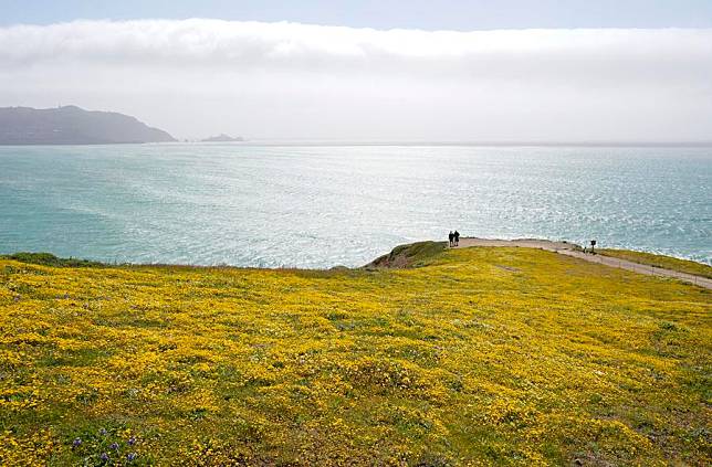 This photo taken on April 22, 2024 shows a view of blooming flowers in San Mateo County, California, the United States. (Photo by Li Jianguo/Xinhua)