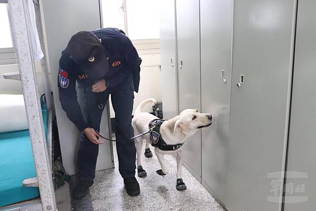 桃園憲兵隊所屬緝毒犬針對官兵寢室及生活區域，實施安全檢查。（六軍團重防營提供）