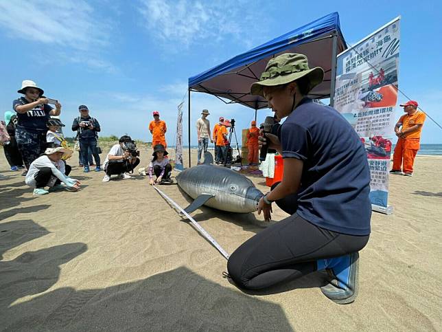 中華鯨豚協會的講師，毫不藏私地講解救援的知識，民眾也認真學習救援鯨豚與海龜。 圖：新北市動保處提供