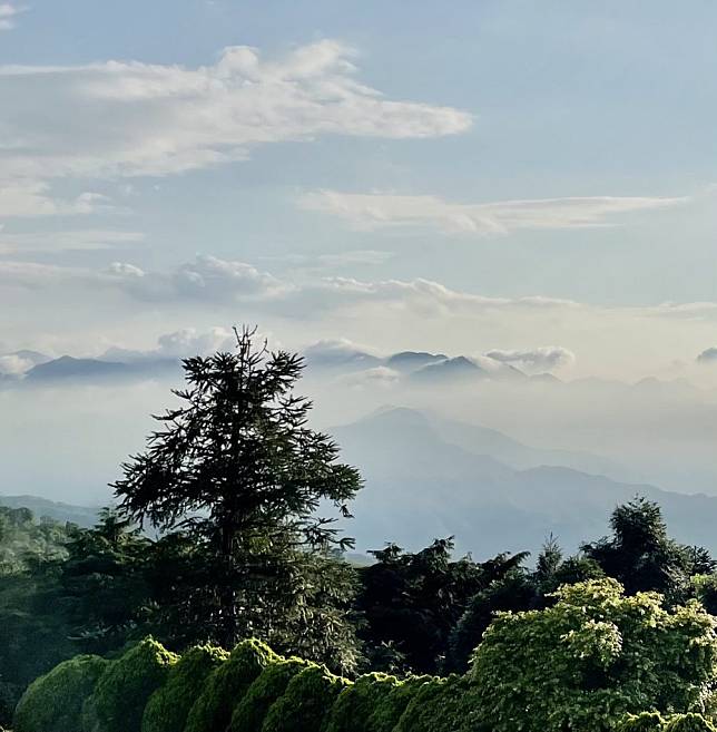 東眼山森林學堂休園不停學，讓民眾宅在家中，也能享受芬多精。（新竹林管處提供)