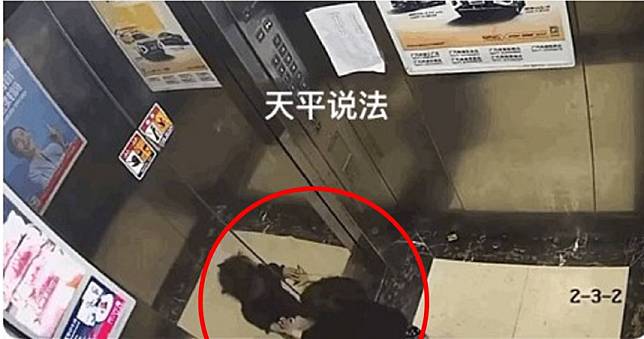 粗心保姆只顧滑手機　2歲女童被獨留電梯…離奇自8樓墜落身亡