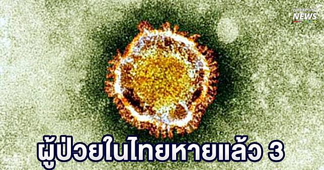 สถานการณ์ผู้ติดเชื้อไวรัสโคโรนาอู่ฮั่นที่พบในไทย ป่วย 6 รายหายดีแล้ว 3