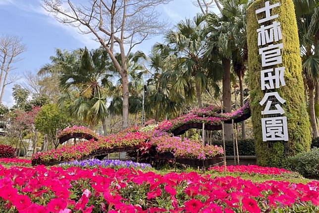 士林官邸公園為台北著名的賞花熱點，桃紅、粉紫色系矮牽牛花海襯托超級鳳仙花打造的官邸百花象徵。（圖／臺北市政府工務局提供）