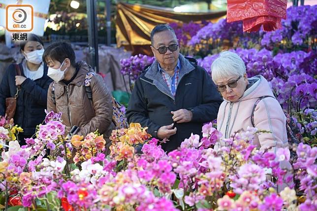 蘭花繼續成為今年人氣之選。(袁志豪攝)